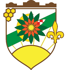 celiclogo
